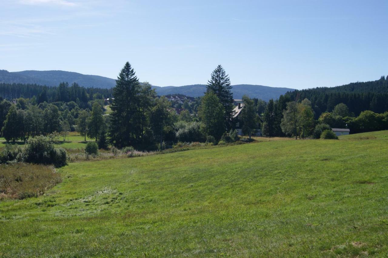 Ferienwohnung Schwarzwaldlust Schluchsee Eksteriør billede
